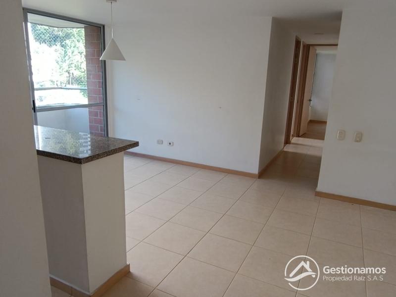 WhatsApp Image 2026-03-19 at 3.38.43 PM (5).jpeg